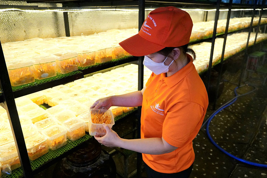 Không chỉ góp phần phát triển nông nghiệp công nghệ cao tại tỉnh Lâm Đồng, doanh nghiệp còn giải quyết việc làm cho nhiều bà con địa phương