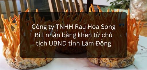 nhan bang khen dtht