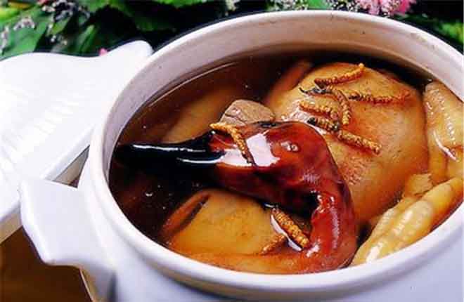 Cách nấu đông trùng hạ thảo với thịt vịt
