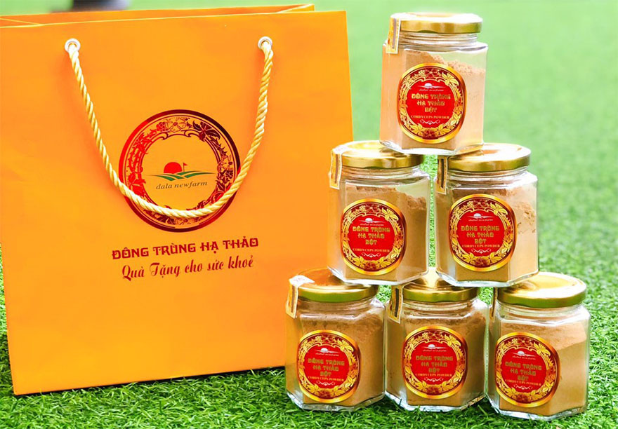 Hướng dẫn sử dụng Bột đông trùng Hạ thảo