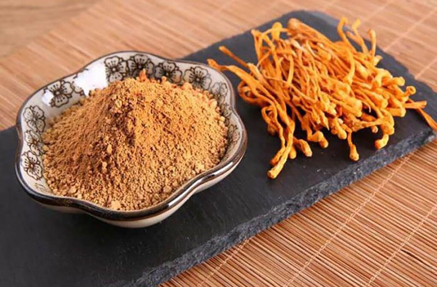Một số lưu ý khi sử dụng bột đông trùng hạ thảo