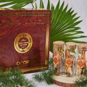 Hộp quà 12 con nhộng đông trùng hạ thảo