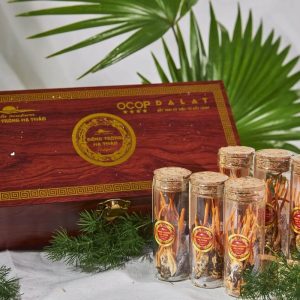 Hộp quà 24 con nhộng tằm ĐTHT