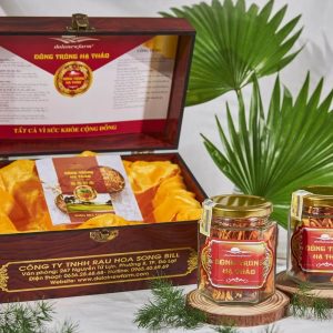 Hộp Quà: 2 hộp đông trùng hạ thảo sấy khô 10g size 3